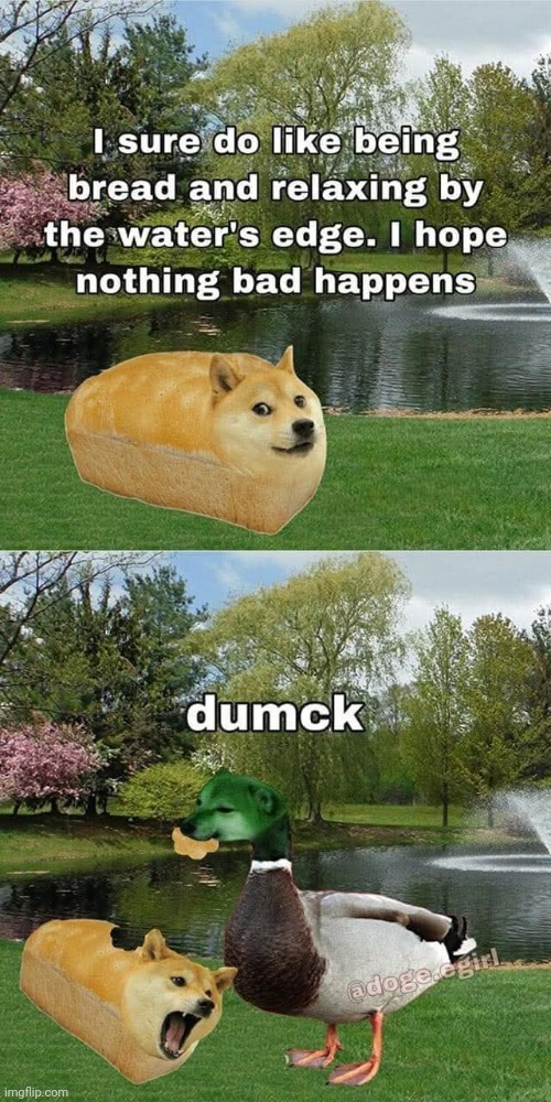 Oh boy I sure do hope therez no pesky ducks about | image tagged in meme | made w/ Imgflip meme maker