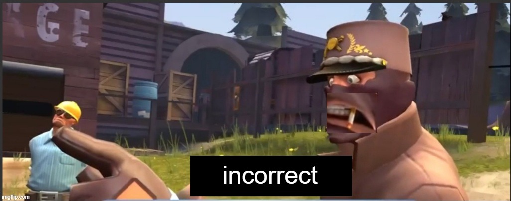 Correct | incorrect | image tagged in correct | made w/ Imgflip meme maker