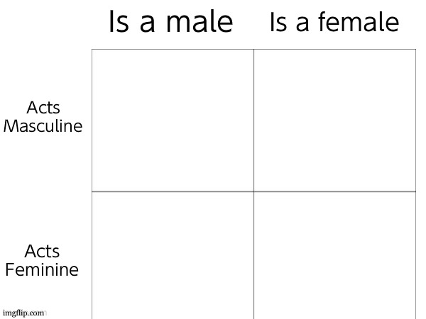 Where do i go chat, im curious | image tagged in is a male/female is masculine/feminine board | made w/ Imgflip meme maker