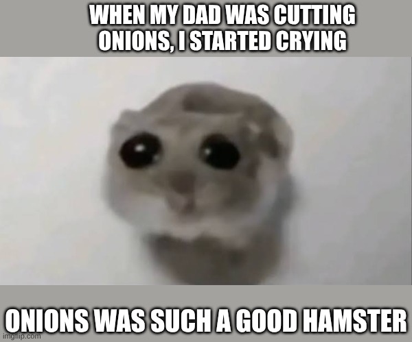 poor onions | WHEN MY DAD WAS CUTTING ONIONS, I STARTED CRYING; ONIONS WAS SUCH A GOOD HAMSTER | image tagged in sad hamster | made w/ Imgflip meme maker