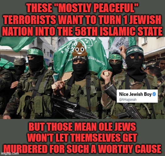 terrorists want to establish another terrorist state | THESE "MOSTLY PEACEFUL" TERRORISTS WANT TO TURN 1 JEWISH NATION INTO THE 58TH ISLAMIC STATE; BUT THOSE MEAN OLE JEWS WON'T LET THEMSELVES GET MURDERED FOR SUCH A WORTHY CAUSE | image tagged in hamas,caliphate,islamic state | made w/ Imgflip meme maker