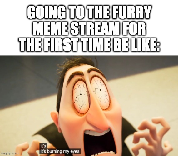 I had to clean my eyes with bleach | GOING TO THE FURRY MEME STREAM FOR THE FIRST TIME BE LIKE: | image tagged in it's burning my eyes | made w/ Imgflip meme maker