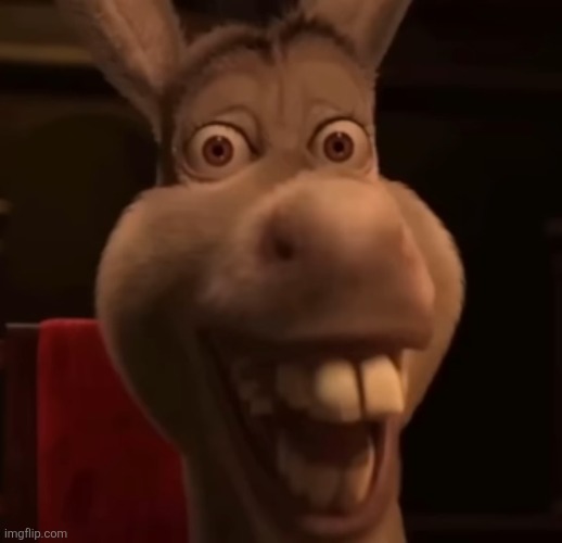 Donkey.mp3 | image tagged in donkey,shrek | made w/ Imgflip meme maker