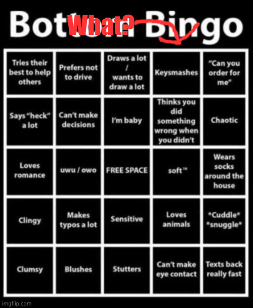 Bottom bingo | What? | image tagged in bottom bingo | made w/ Imgflip meme maker