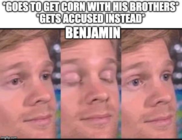 Blinking guy | *GOES TO GET CORN WITH HIS BROTHERS*
*GETS ACCUSED INSTEAD*; BENJAMIN | image tagged in blinking guy | made w/ Imgflip meme maker