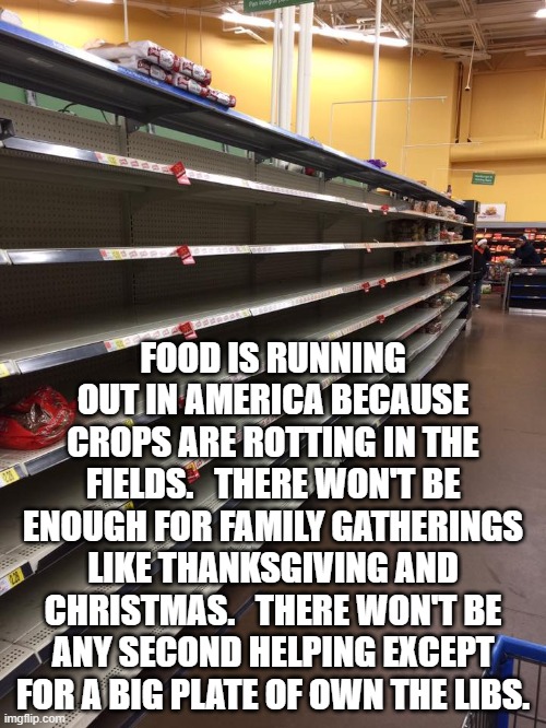 empty shelves | FOOD IS RUNNING OUT IN AMERICA BECAUSE CROPS ARE ROTTING IN THE FIELDS.   THERE WON'T BE ENOUGH FOR FAMILY GATHERINGS LIKE THANKSGIVING AND CHRISTMAS.   THERE WON'T BE ANY SECOND HELPING EXCEPT FOR A BIG PLATE OF OWN THE LIBS. | image tagged in empty shelves | made w/ Imgflip meme maker
