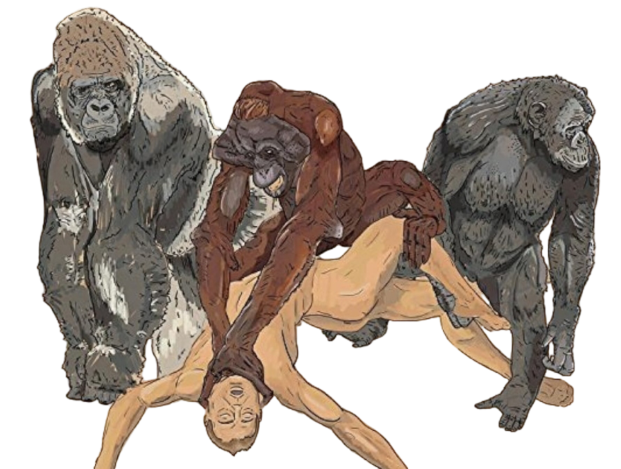 Your Mom Blank Meme Template