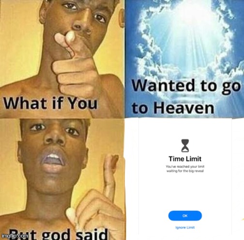 you took too long | image tagged in what if you wanted to go to heaven | made w/ Imgflip meme maker