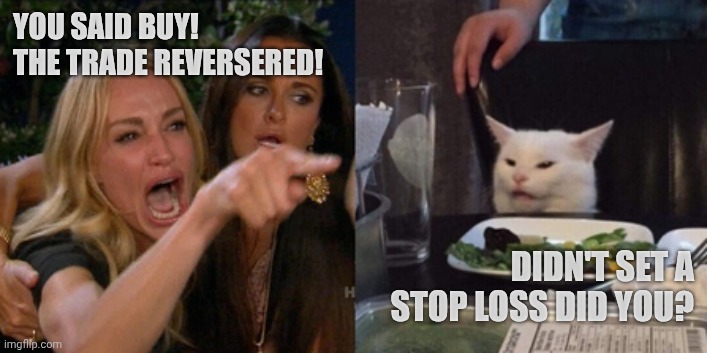 Trade humor | YOU SAID BUY! THE TRADE REVERSERED! DIDN'T SET A STOP LOSS DID YOU? | image tagged in trading | made w/ Imgflip meme maker