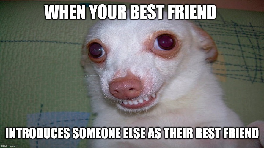 I'm fine, really | WHEN YOUR BEST FRIEND; INTRODUCES SOMEONE ELSE AS THEIR BEST FRIEND | image tagged in embarrassed grin | made w/ Imgflip meme maker