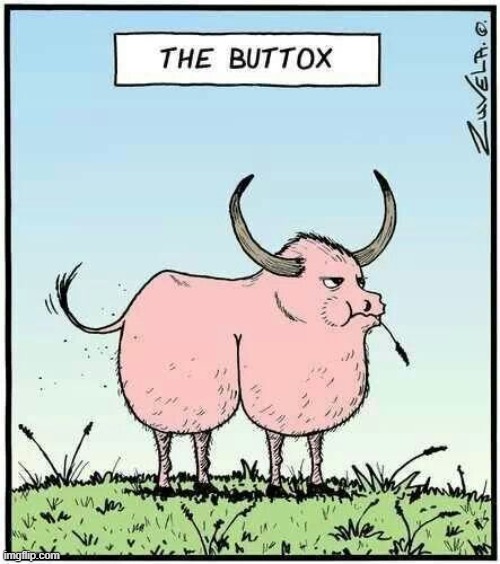 The Advantages of Inbreeding Livestock for Comedy | image tagged in vince vance,ox,buttocks,steer,cattle,cartoons | made w/ Imgflip meme maker