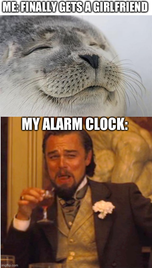 ME: FINALLY GETS A GIRLFRIEND; MY ALARM CLOCK: | image tagged in satisfied seal,wake up,sad truth,ugly,laughing leo,single life | made w/ Imgflip meme maker