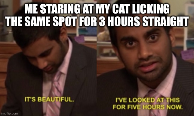 I've looked at this for 5 hours now | ME STARING AT MY CAT LICKING THE SAME SPOT FOR 3 HOURS STRAIGHT | image tagged in i've looked at this for 5 hours now | made w/ Imgflip meme maker