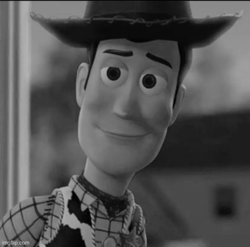 woody | image tagged in woody | made w/ Imgflip meme maker