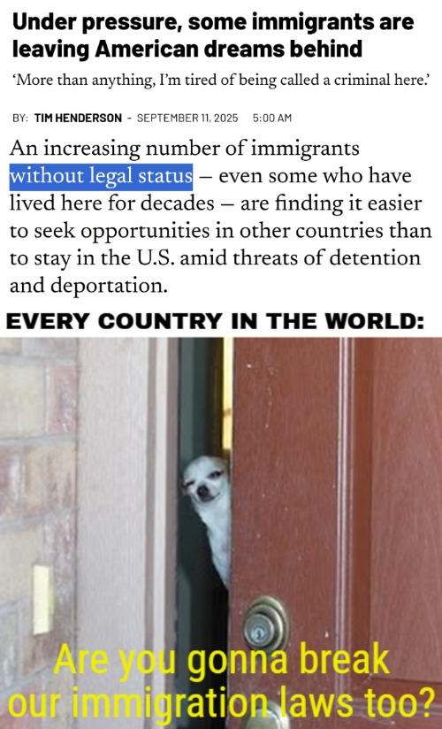 You have to take an immigrant boat this time for that. Illegals were never a part of the European openness deal | image tagged in american politics,illegal immigrants,deportation,suspicious chihuahua | made w/ Imgflip meme maker