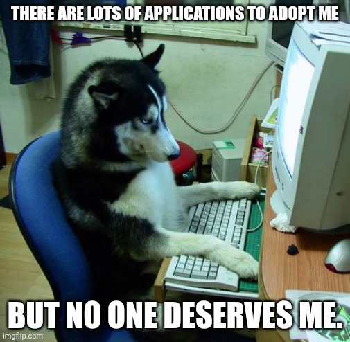 I Have No Idea What I Am Doing Meme | THERE ARE LOTS OF APPLICATIONS TO ADOPT ME; BUT NO ONE DESERVES ME. | image tagged in memes,i have no idea what i am doing | made w/ Imgflip meme maker