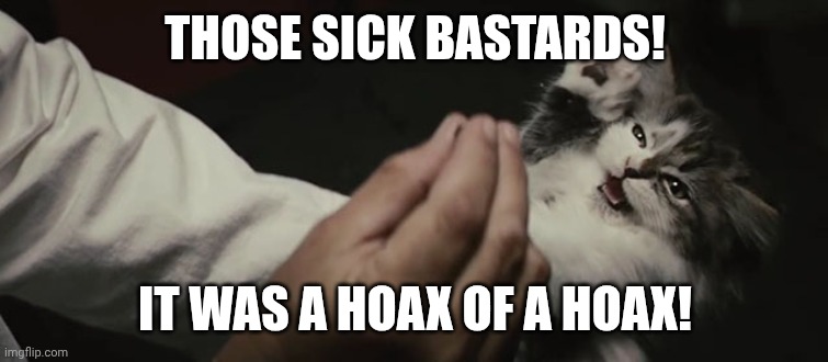 THOSE SICK BASTARDS! IT WAS A HOAX OF A HOAX! | made w/ Imgflip meme maker