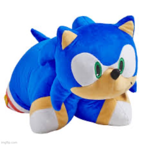 sonic pillow pet | image tagged in sonic pillow pet | made w/ Imgflip meme maker