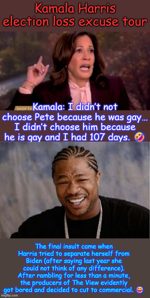 Kamala Harris election loss excuse tour | The final insult came when Harris tried to separate herself from Biden (after saying last year she could not think of any difference). After rambling for less than a minute, the producers of The View evidently got bored and decided to cut to commercial. 😂 | image tagged in memes,yo dawg heard you,buy my book,no primary necessary,dnc does all the picking | made w/ Imgflip meme maker