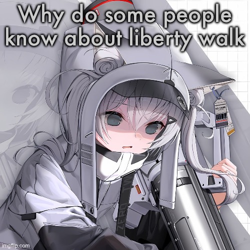 N102 | Why do some people know about liberty walk | image tagged in n102 | made w/ Imgflip meme maker