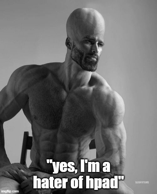 Hpad haters are as chadly as vagabond enjoyers | "yes, I'm a hater of hpad" | image tagged in intelligent chad | made w/ Imgflip meme maker