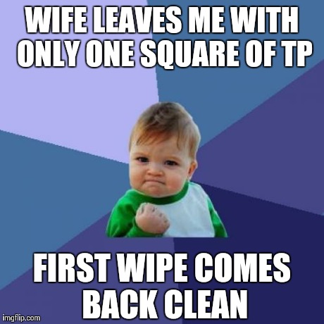 Success Kid | WIFE LEAVES ME WITH ONLY ONE SQUARE OF TP FIRST WIPE COMES BACK CLEAN | image tagged in memes,success kid,AdviceAnimals | made w/ Imgflip meme maker