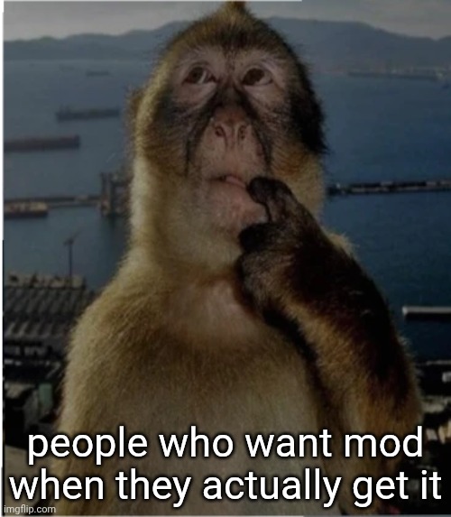 thinking monkey | people who want mod when they actually get it | image tagged in thinking monkey | made w/ Imgflip meme maker