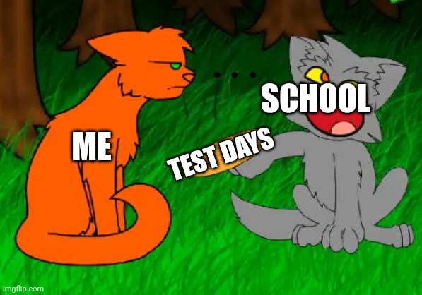 I hate tests | SCHOOL; ME; TEST DAYS | image tagged in firestar doesn't like waffles | made w/ Imgflip meme maker