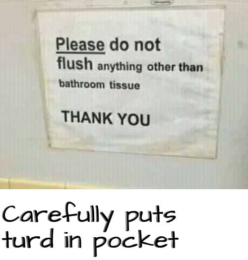 Turd In Pocket | Carefully puts turd in pocket | image tagged in pocket,turds,toilet paper,funny signs,bathroom humor,funny memes | made w/ Imgflip meme maker