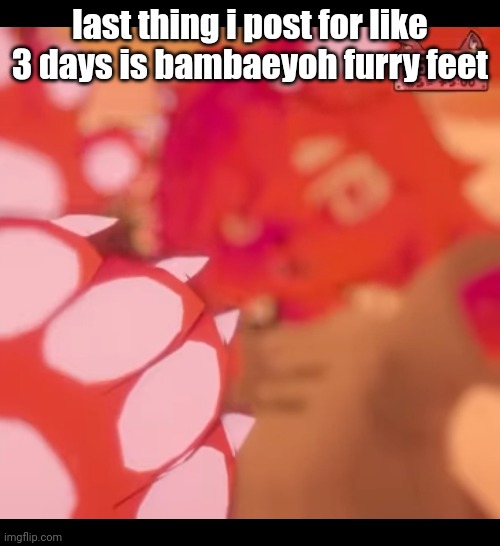 something he actually did on stream btw | last thing i post for like 3 days is bambaeyoh furry feet | made w/ Imgflip meme maker