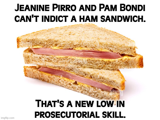 Jeanine Pirro and Pam Bondi can't indict a ham sandwich. That's a new low in 
prosecutorial skill. | image tagged in jeanine pirro,pam bondi,incompetence,ham sandwich,indictment | made w/ Imgflip meme maker