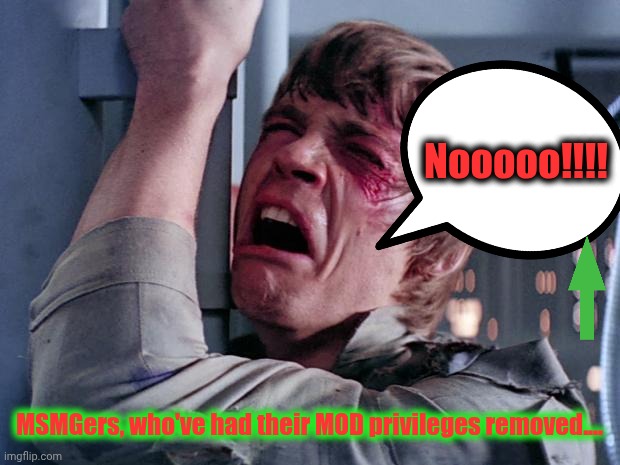 luke nooooo | Nooooo!!!! MSMGers, who've had their MOD privileges removed.... | image tagged in luke nooooo | made w/ Imgflip meme maker