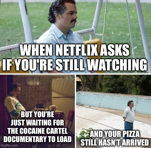 WHEN NETFLIX ASKS IF YOU'RE STILL WATCHING | WHEN NETFLIX ASKS IF YOU'RE STILL WATCHING; BUT YOU'RE JUST WAITING FOR THE COCAINE CARTEL DOCUMENTARY TO LOAD; AND YOUR PIZZA STILL HASN'T ARRIVED | image tagged in memes,sad pablo escobar,netflix and chill,pizza,cocaine,netflix | made w/ Imgflip meme maker