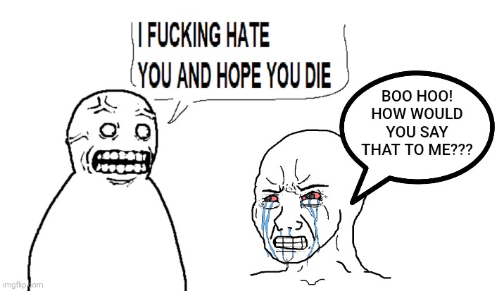 A meme by fallenchungus but with a twist. | BOO HOO! HOW WOULD YOU SAY THAT TO ME??? | image tagged in i hate you and hope you die,wojak,crying,memes,angry,fallenchungus | made w/ Imgflip meme maker