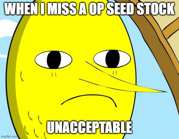 unlucky | WHEN I MISS A OP SEED STOCK; UNACCEPTABLE | image tagged in unacceptable lemongrab | made w/ Imgflip meme maker