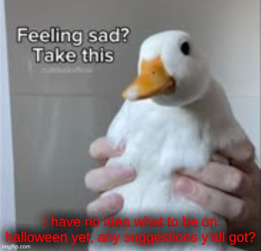 Holy Duck™ | i have no idea what to be on halloween yet, any suggestions y'all got? | image tagged in holy duck | made w/ Imgflip meme maker