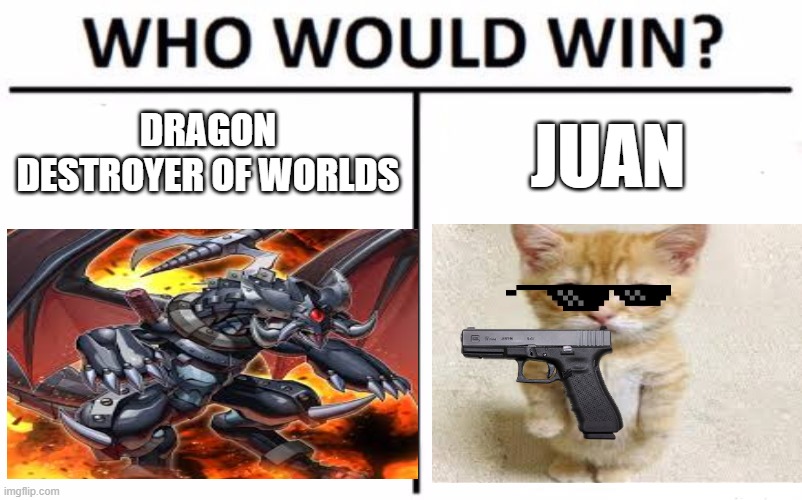 Who Would Win? | DRAGON DESTROYER OF WORLDS; JUAN | image tagged in memes,who would win | made w/ Imgflip meme maker