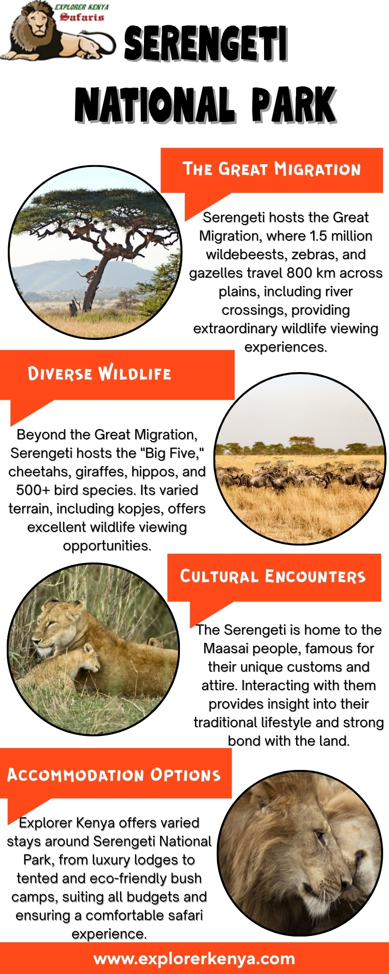 Serengeti National Park Blank Meme Template