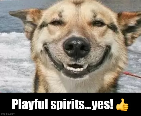 Playful spirits…yes! ? | made w/ Imgflip meme maker