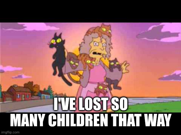Simpson's Crazy Cat Lady | I'VE LOST SO MANY CHILDREN THAT WAY | image tagged in simpson's crazy cat lady | made w/ Imgflip meme maker