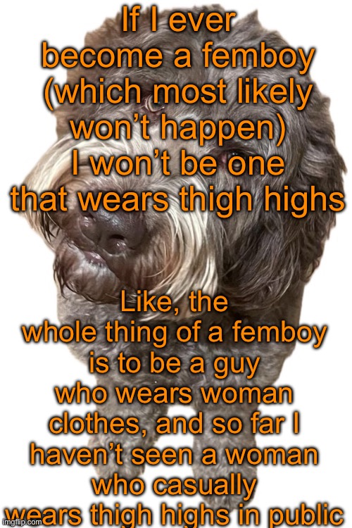 Norther's dog | If I ever become a femboy (which most likely won’t happen) I won’t be one that wears thigh highs; Like, the whole thing of a femboy is to be a guy who wears woman clothes, and so far I haven’t seen a woman who casually wears thigh highs in public | image tagged in norther's dog | made w/ Imgflip meme maker