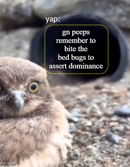 Parannouncements lazy | gn peeps remember to bite the bed bugs to assert dominance | image tagged in parannouncements lazy | made w/ Imgflip meme maker