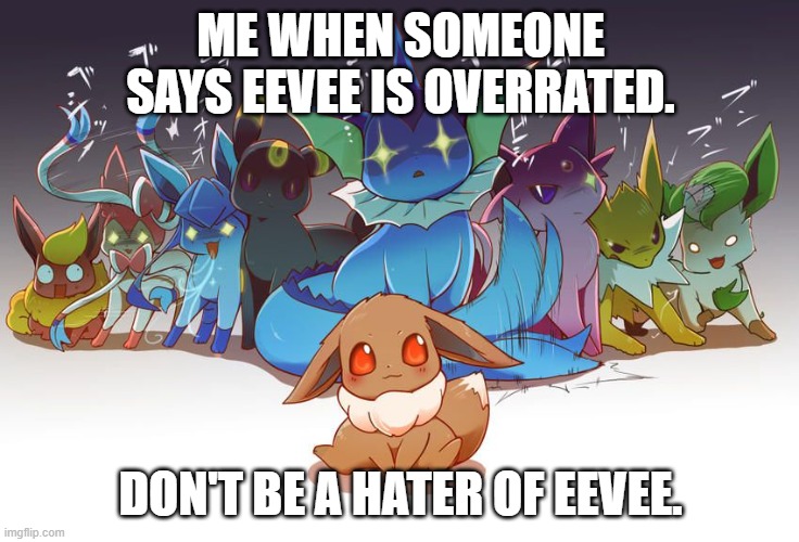 Eeveelution death stare | ME WHEN SOMEONE SAYS EEVEE IS OVERRATED. DON'T BE A HATER OF EEVEE. | image tagged in eeveelution death stare | made w/ Imgflip meme maker