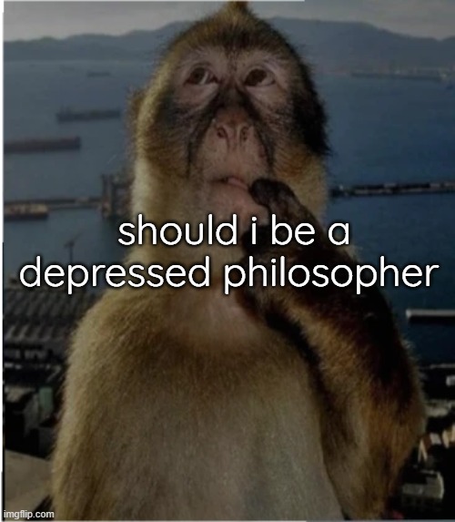 thinking monkey | should i be a depressed philosopher | image tagged in thinking monkey | made w/ Imgflip meme maker