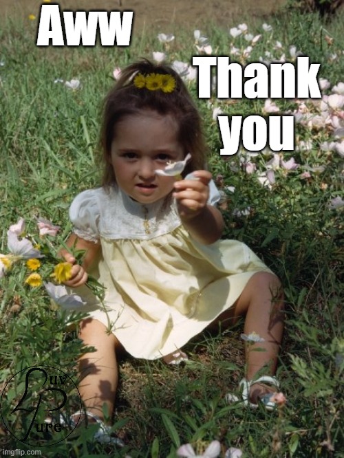 Aww Thank you | Aww Thank
you | image tagged in sweet,flowers,thank you,thanks,aww | made w/ Imgflip meme maker