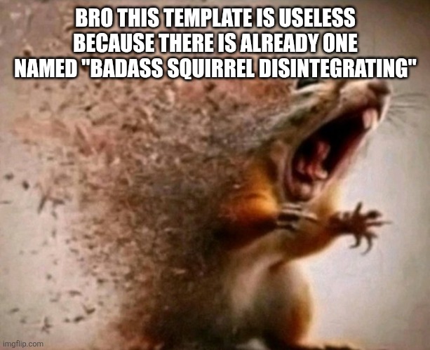 dissapearing squirrel | BRO THIS TEMPLATE IS USELESS BECAUSE THERE IS ALREADY ONE NAMED "BADASS SQUIRREL DISINTEGRATING" | image tagged in dissapearing squirrel | made w/ Imgflip meme maker