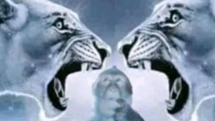 Lion roaring at lion with confused monkey Blank Meme Template