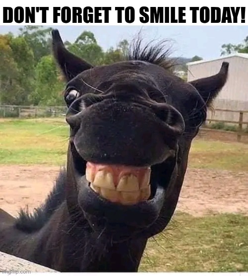 Don't Forget To Smile Today! | DON'T FORGET TO SMILE TODAY! | image tagged in chris joines | made w/ Imgflip meme maker