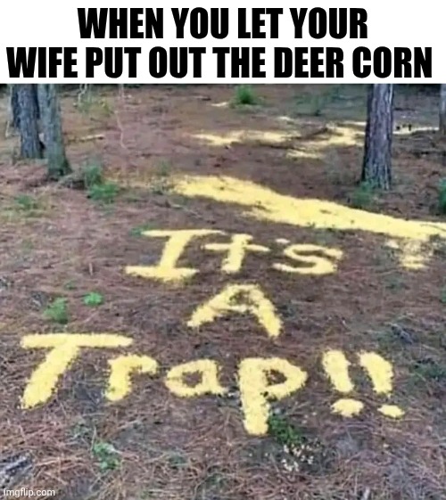 When You Let Your Wife Put Out The Deer Corn | WHEN YOU LET YOUR WIFE PUT OUT THE DEER CORN | image tagged in chris joines | made w/ Imgflip meme maker