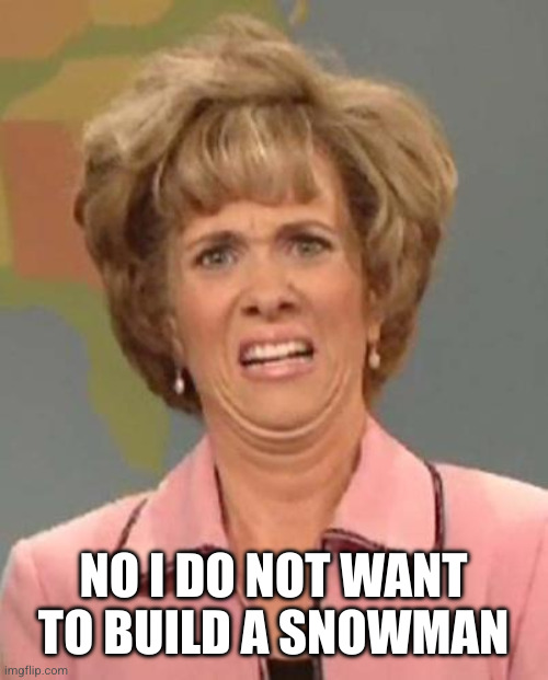 Disgusted Kristin Wiig | NO I DO NOT WANT TO BUILD A SNOWMAN | image tagged in disgusted kristin wiig | made w/ Imgflip meme maker